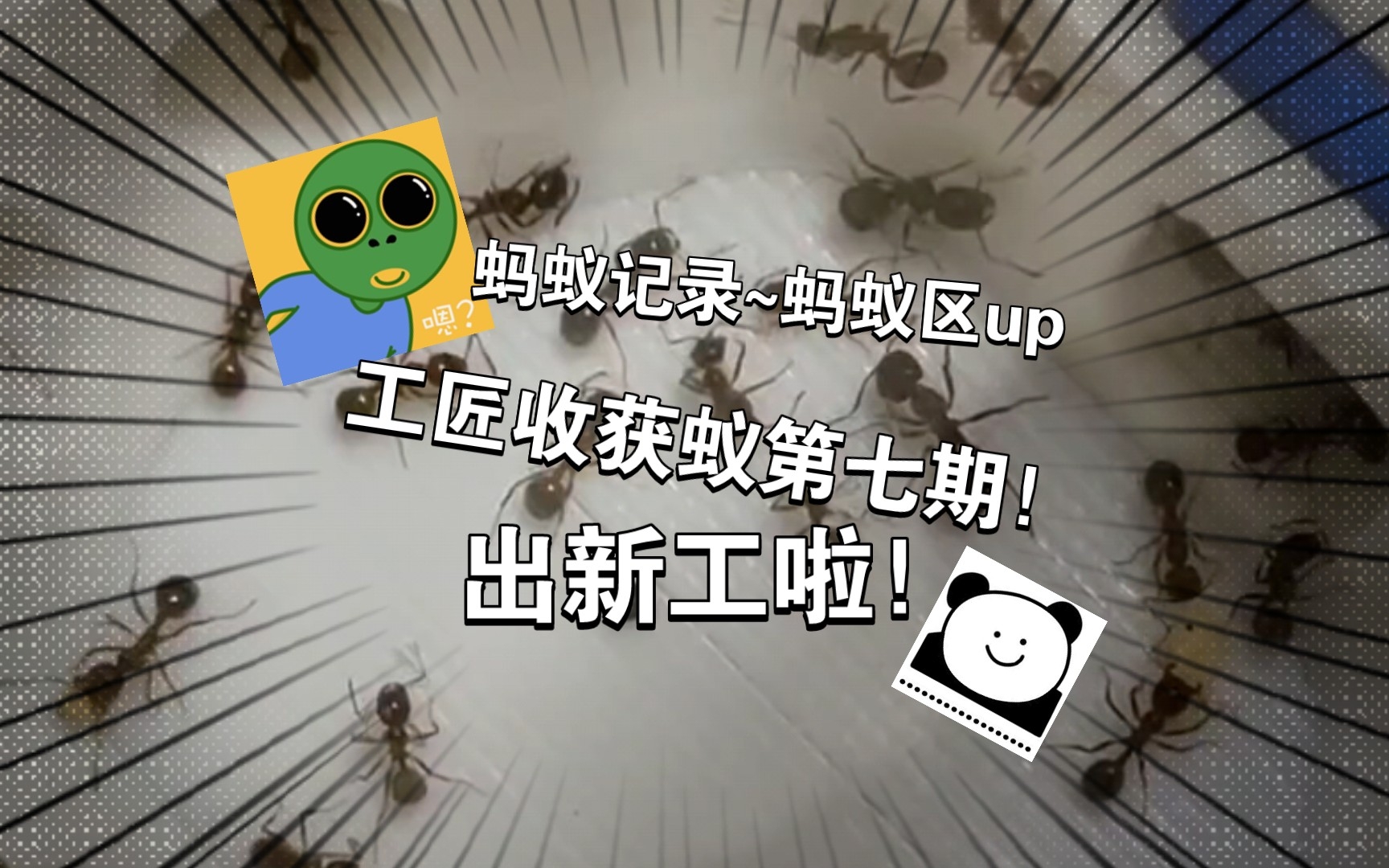 出工啦~工匠收获蚁第七期果然天下不负有心人!哔哩哔哩bilibili