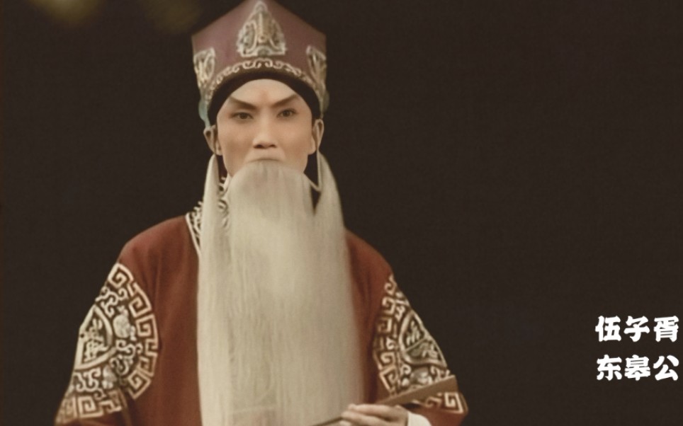 卢松《文昭关》饰伍子胥/东皋公