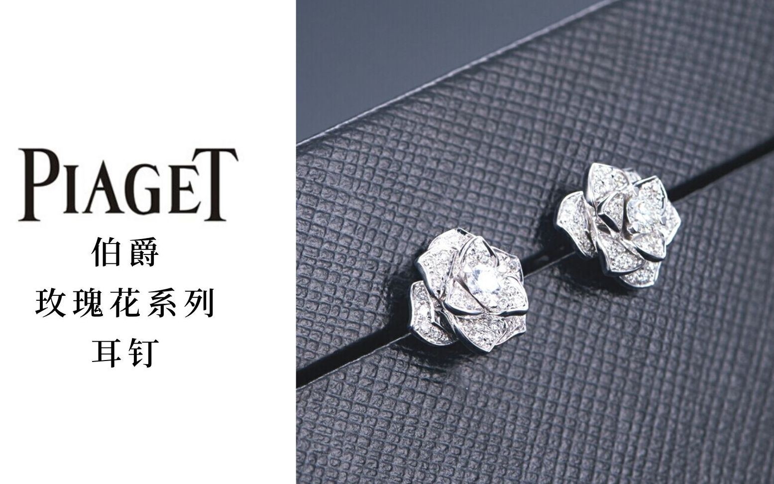 piaget伯爵玫瑰花钻石耳钉那么好看,价格贵不贵?哔哩哔哩bilibili