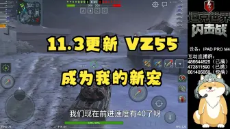 下载视频: 【毛毛WOTB】11.3超级战神！VZ55二连发对面直接蒸发