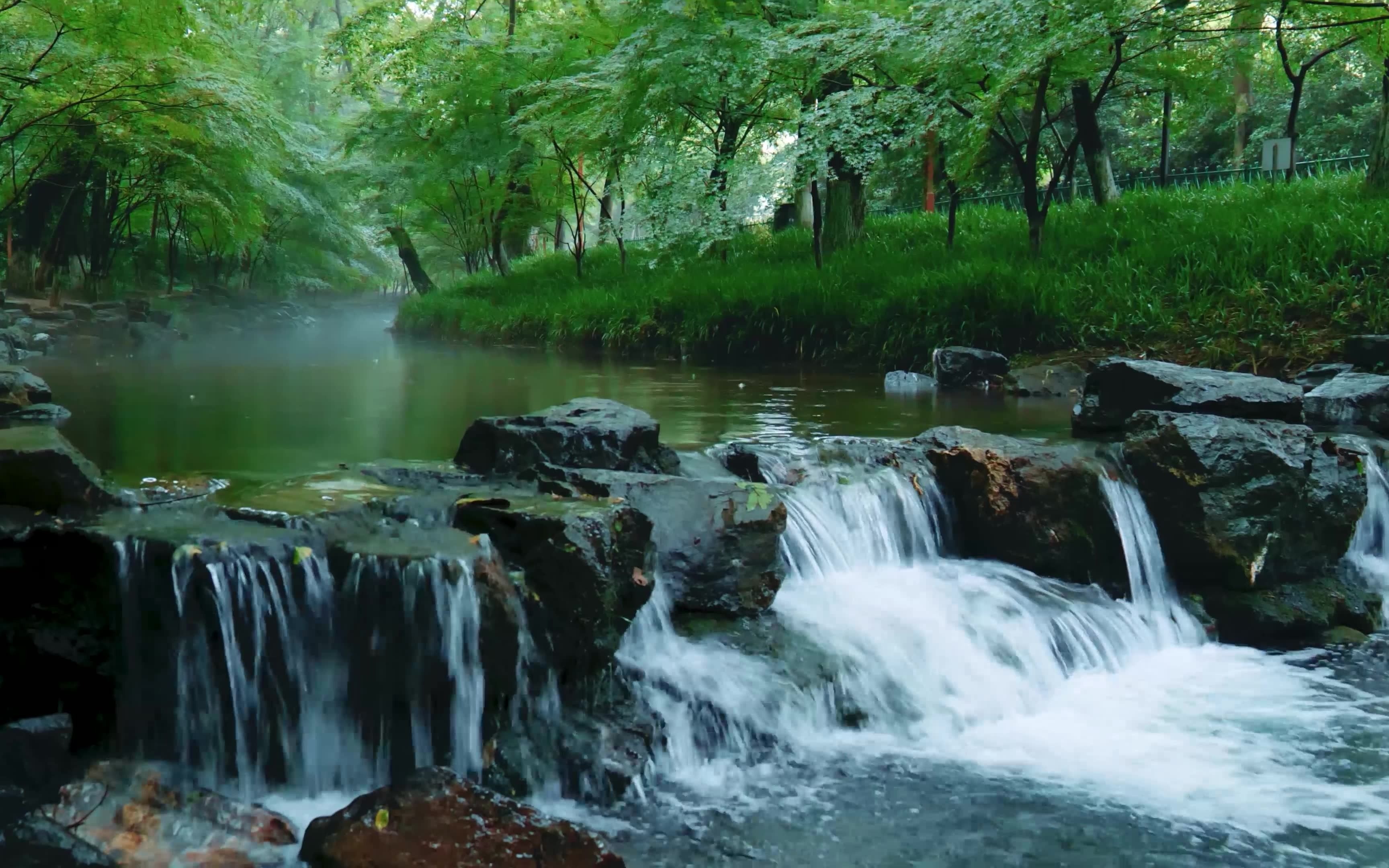 [图]【4K】清泉石上流