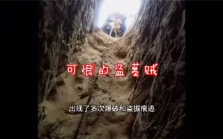 未被盗掘的 搜索结果 哔哩哔哩 Bilibili