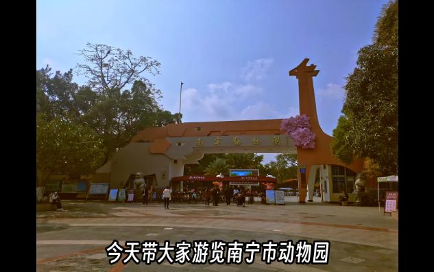 带你游览南宁动物园