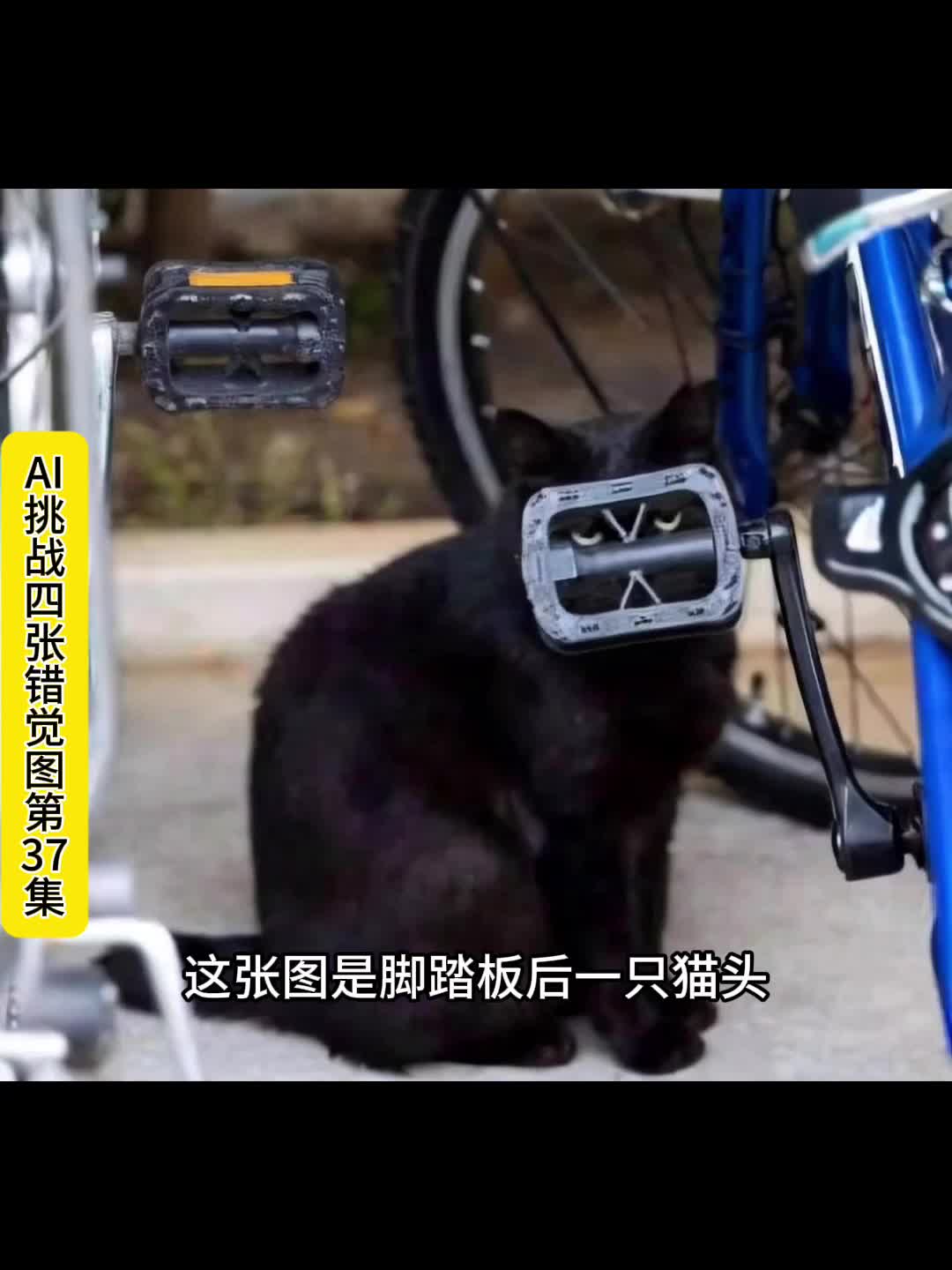 AI 挑战错觉图 37哔哩哔哩bilibili