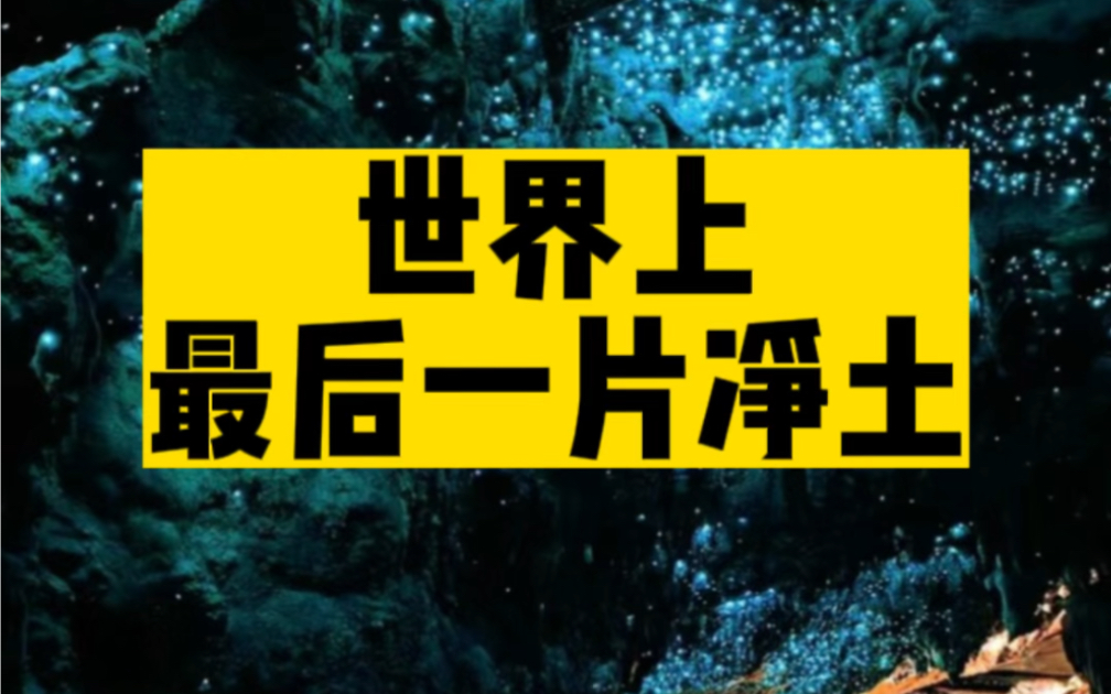 神秘南极圈,纯净新西兰,大自然的宠儿.哔哩哔哩bilibili