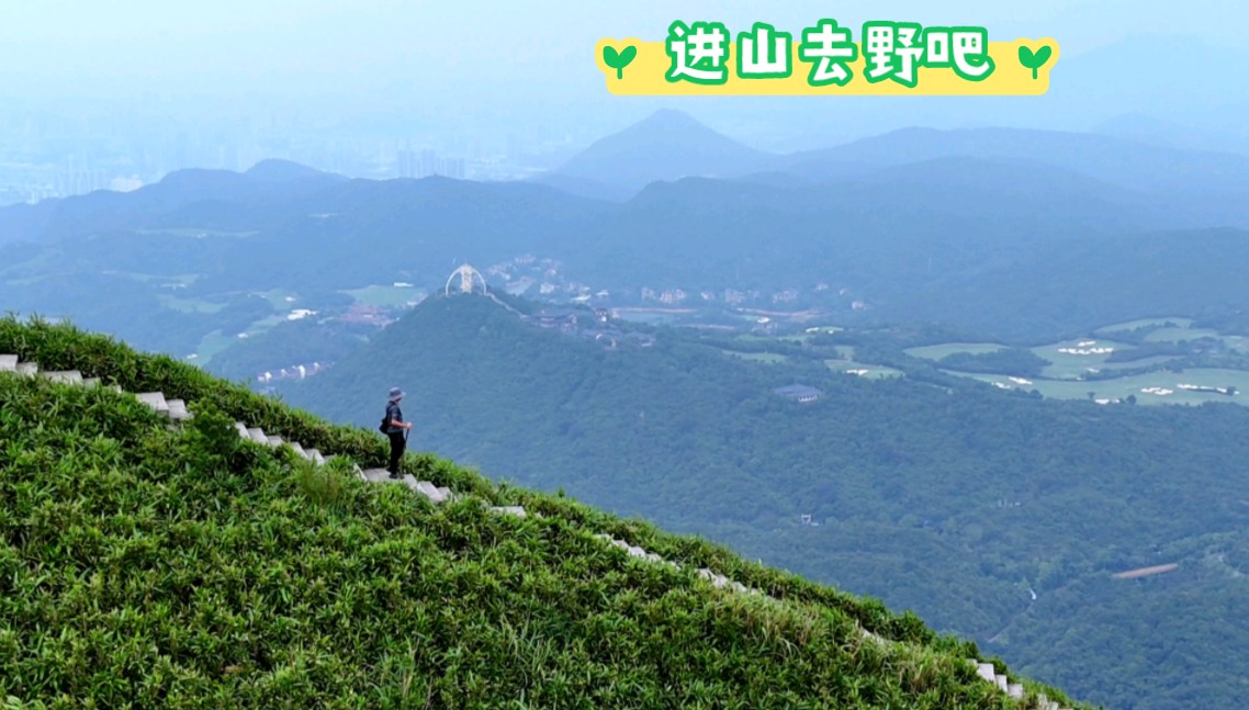 小三洲 梅沙尖进山当野人的一天