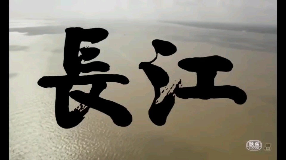 八十年代纪录片《长江》.由日本音乐人佐田雅志主导完成,从上海,沿长江向上,可以了解到八十年代初的中国生活状况.哔哩哔哩bilibili