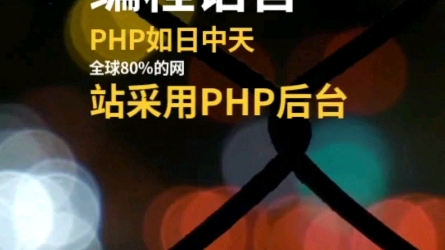 php是世界上最好的编程语言哔哩哔哩bilibili