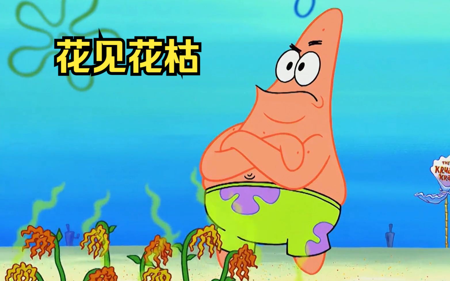 派大星变成海底鬼见愁,连花朵见到他都会瞬间枯萎