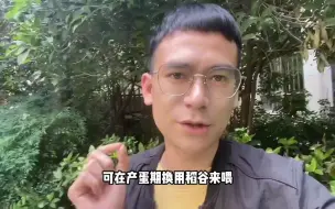 Video herunterladen: 假如公鸡会下蛋！母鸡该如何增产到1天2个蛋，才能保住家庭地位