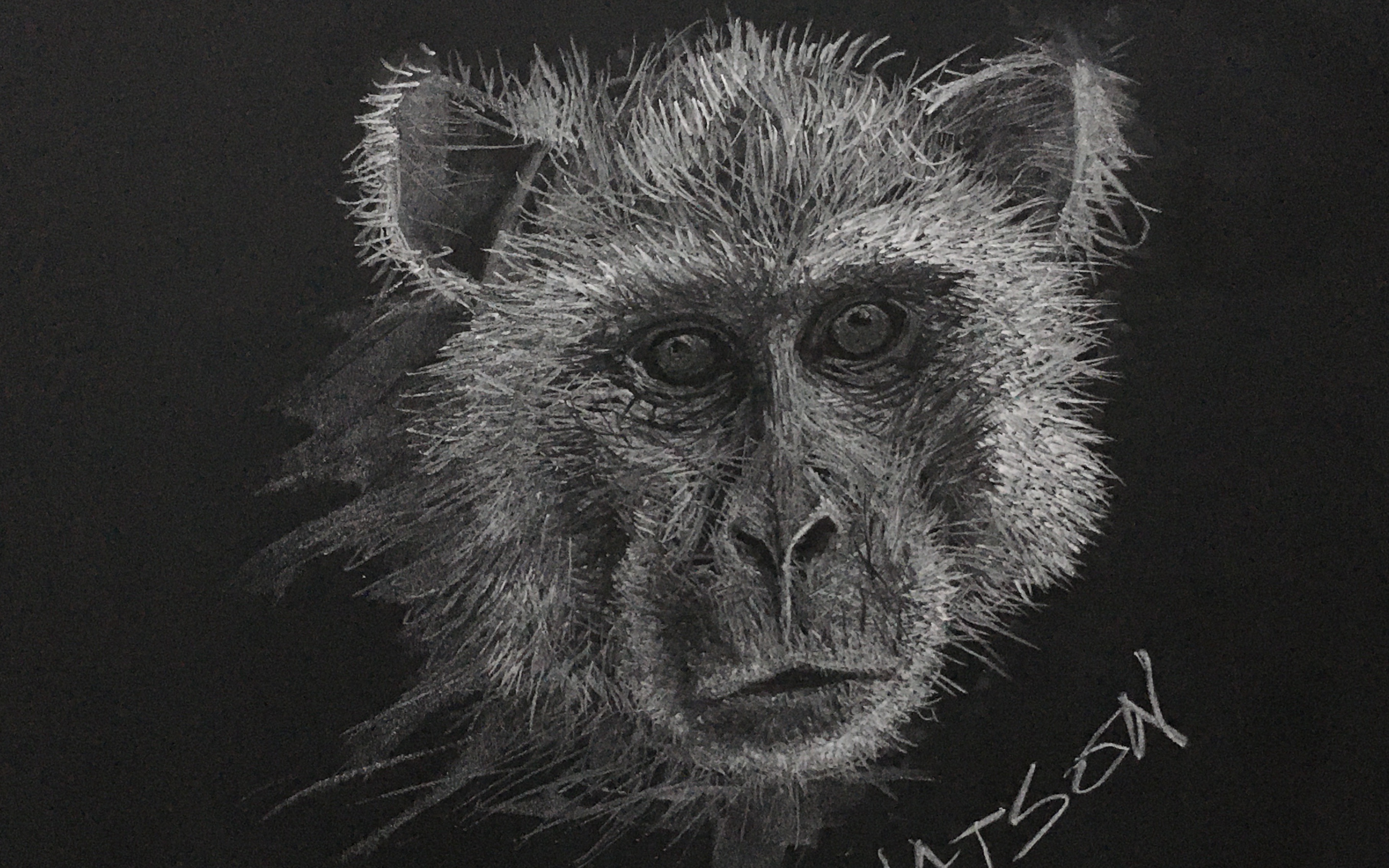 【粉笔画】12生肖画法之一猴