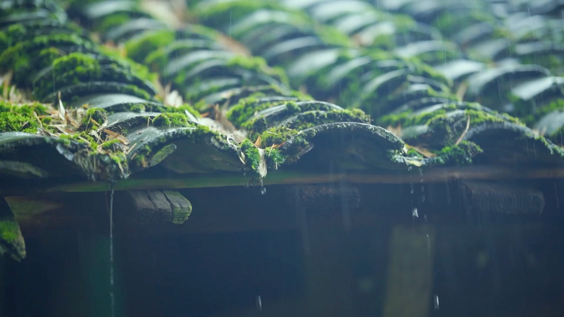 寻寻觅觅,冷冷清清,凄凄惨惨戚戚