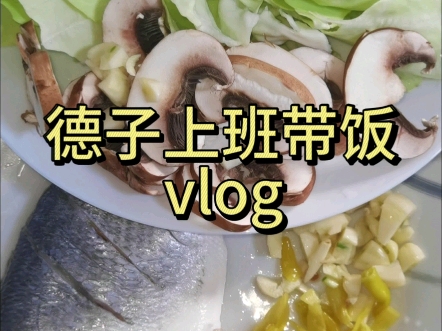 德国留子上班带饭vlog.今天吃泡椒红烧鱼,蘑菇炒包心菜.哔哩哔哩bilibili