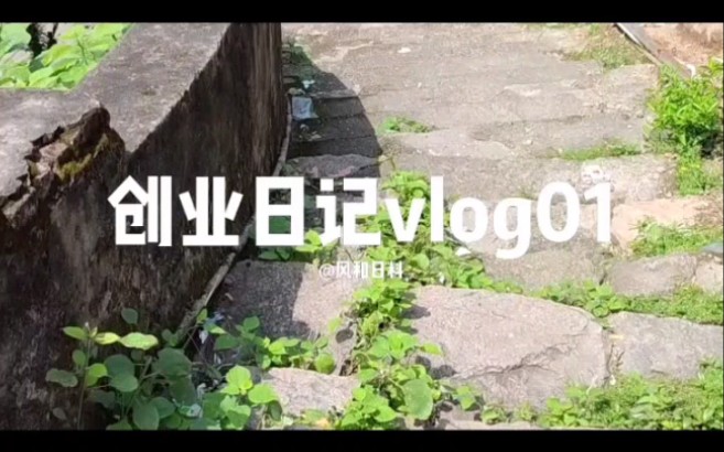 从零开始创业vlog01哔哩哔哩bilibili