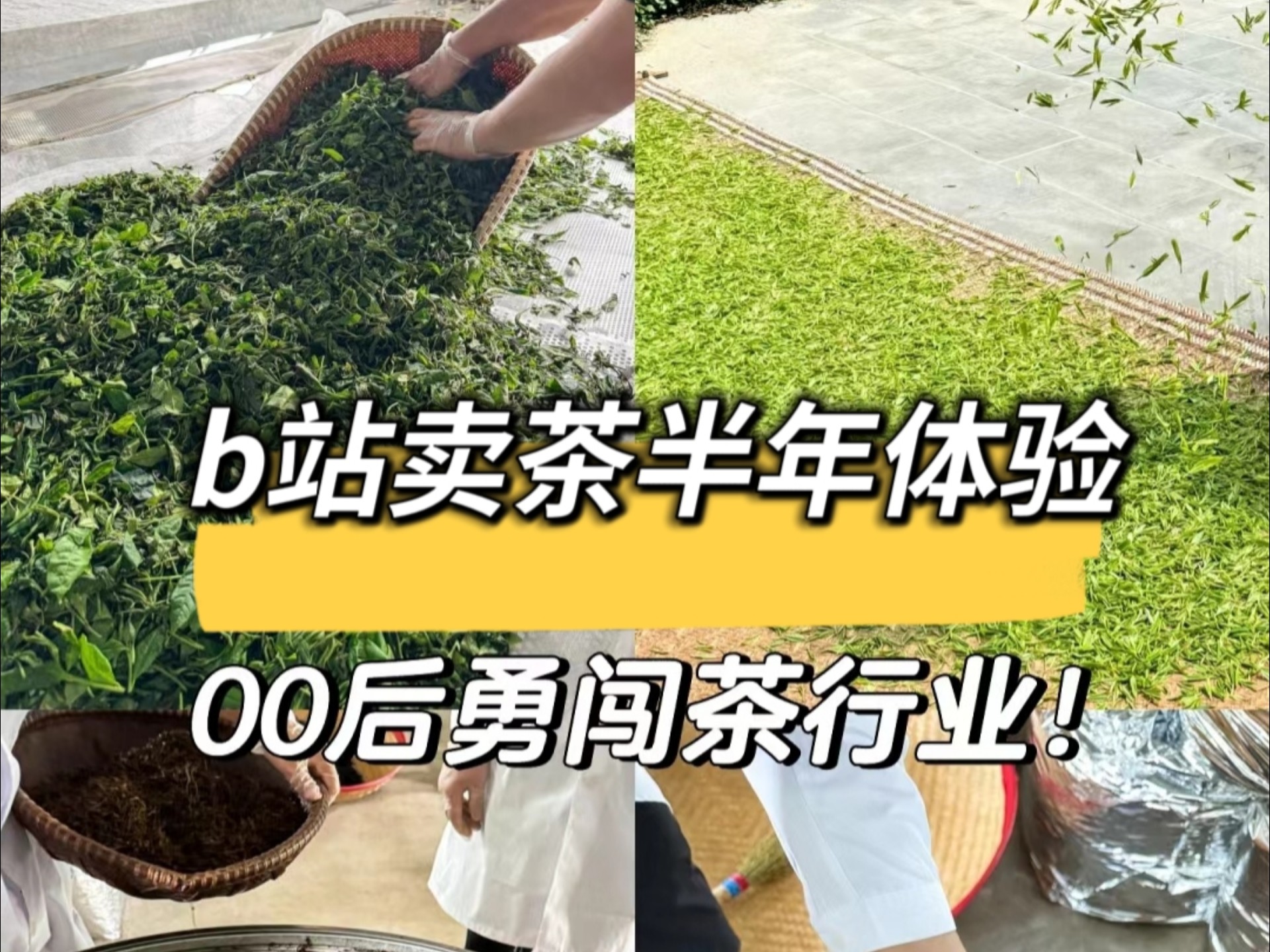 找对渠道,喝茶真不贵.哔哩哔哩bilibili