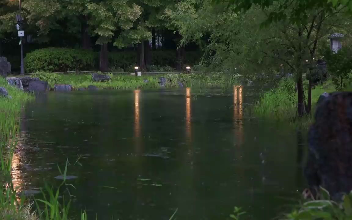 失眠改善,夏日傍晚,宁静池塘,下雨的风景. 雨声,助眠哔哩哔哩bilibili