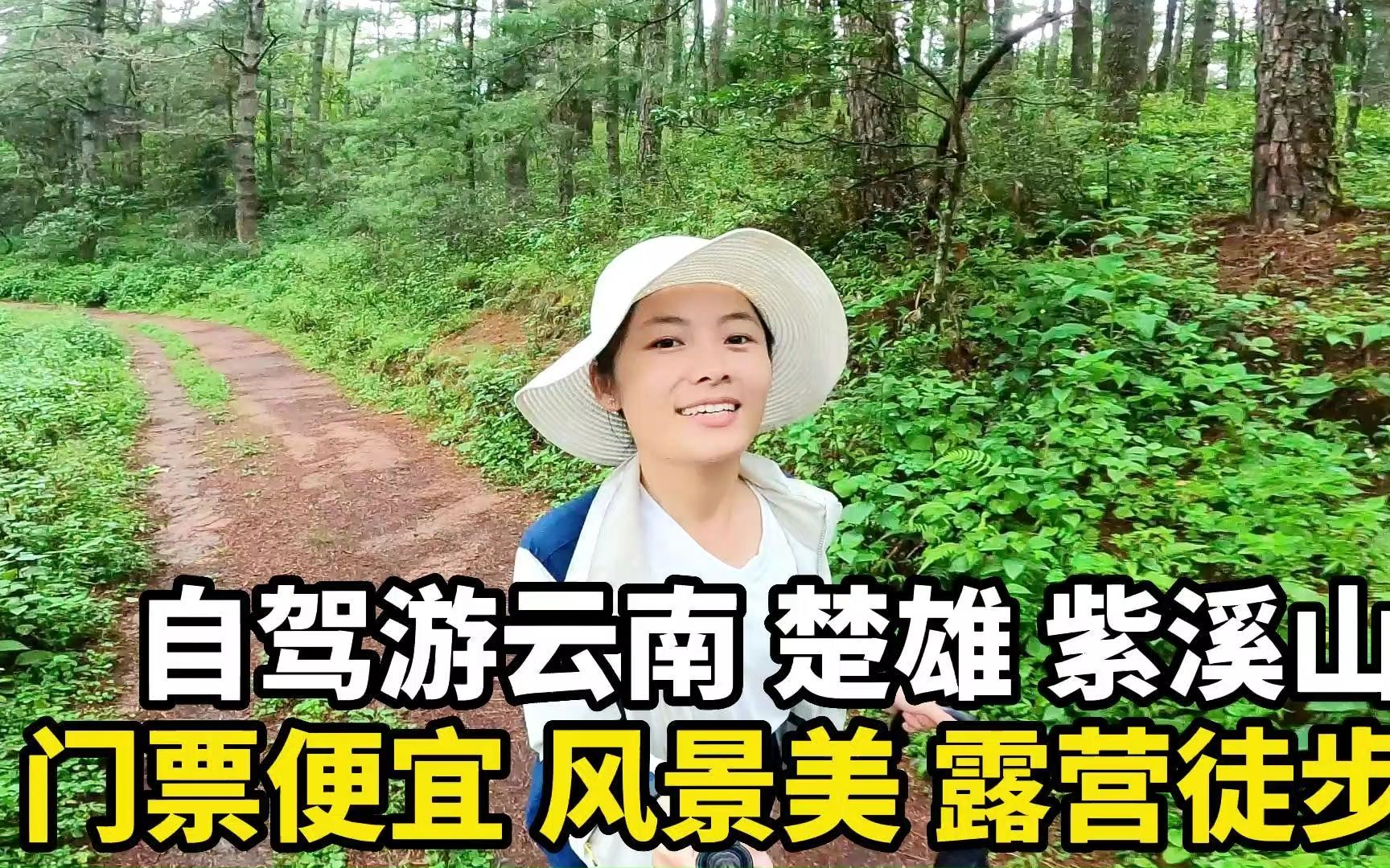 自驾游云南楚雄,在紫溪山露营徒步,景区内的物价比想象中要低! #旅行 #自驾游 #云南 #楚雄 #露营 #徒步 #物价 #旅行推荐官 #旅行大玩家 #铃木北斗星...