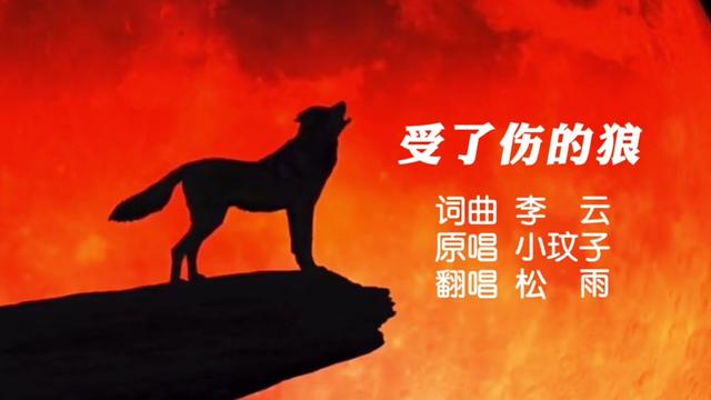 小玟子一首《受了伤的狼》,伤感深情动听.