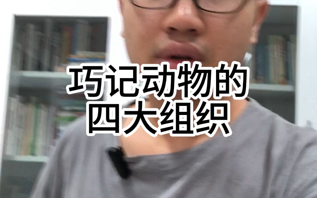 巧记动物的四大组织哔哩哔哩bilibili