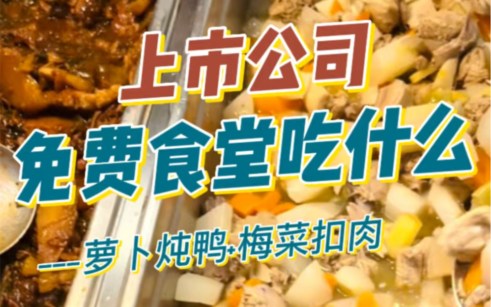 【食堂美食】上市公司免费食堂午餐都吃什么?哔哩哔哩bilibili