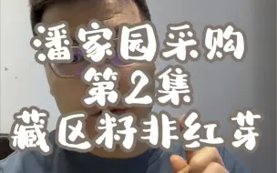 Descargar video: 潘家园第二集，藏区籽非红芽