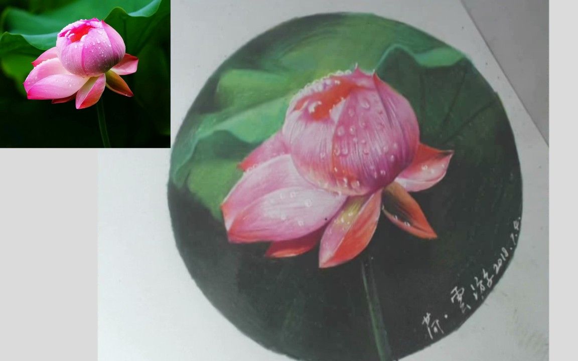 【彩铅教学】教你彩铅荷花的铺色和刻画!这才是画彩铅的正确姿势!新手可学哔哩哔哩bilibili