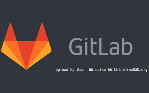 GitLab 搭建与使用教程【英文】【youtube快递】【2017.03.22】哔哩哔哩bilibili