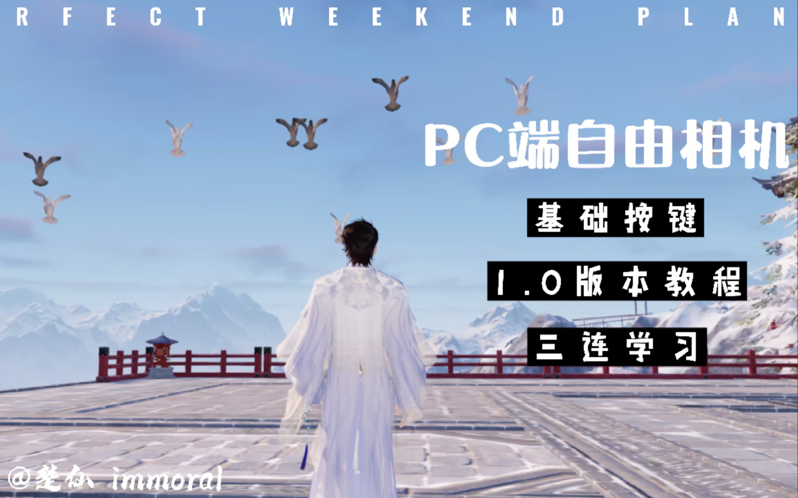 【楚仙】【天刀手游】PC端,自由相机使用讲解1.0版哔哩哔哩bilibili天涯明月刀手游教学