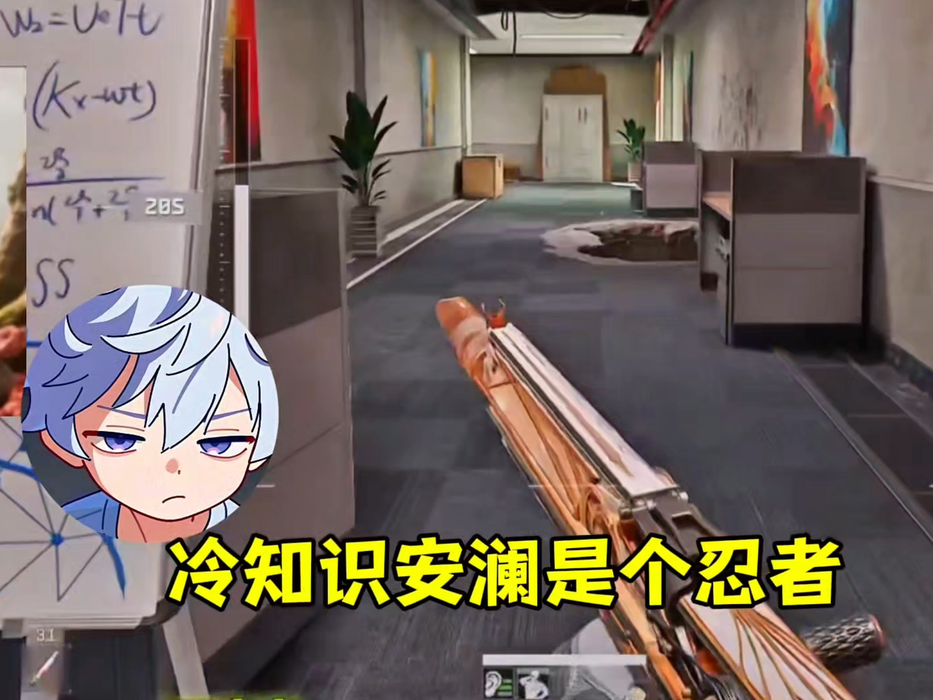 小博博:冷知识安澜是个忍者