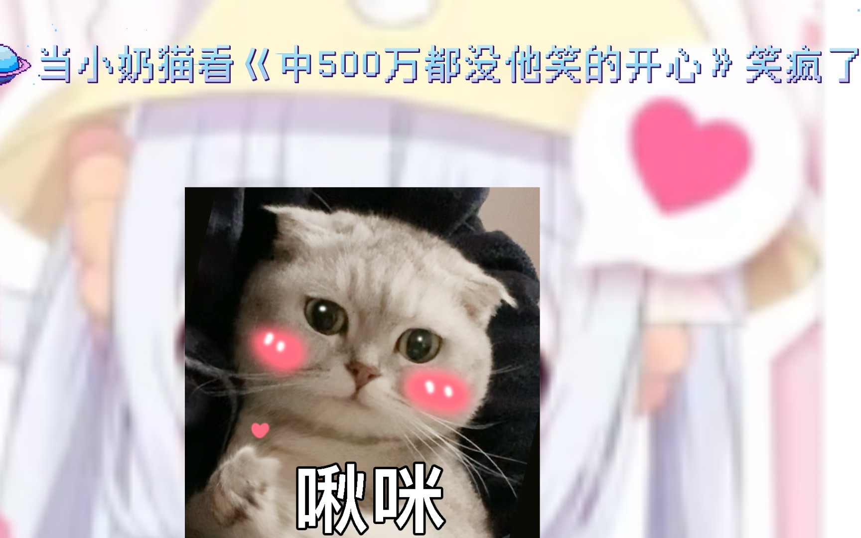 [图]当小奶猫看巜中500万都没他笑的开心》笑疯了