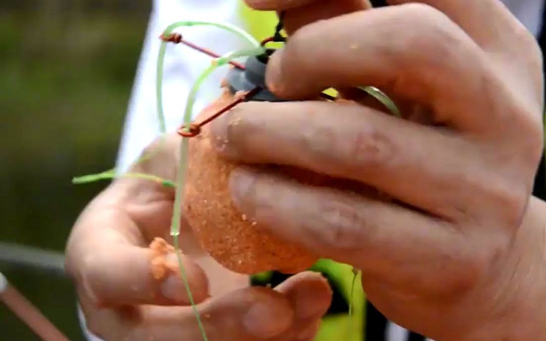 2019中国竹溪楠木湖垂钓大赛十堰丹江口钓友花篮钓鲢鳙方法