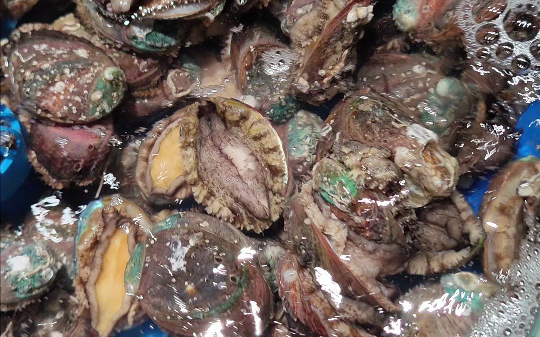 福清个人觉得很划算的一家海鲜自助