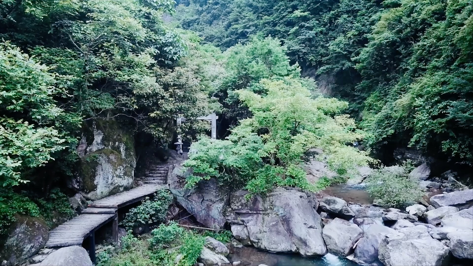 王一博水仙 谢露天机 骨科(注意避雷 不喜勿喷)