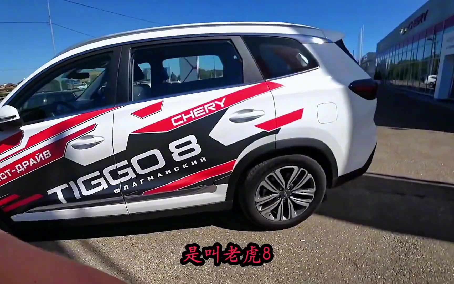 【国产车海外测评】大鹅网红看见路边堆满了老虎牌汽车,原来是一家