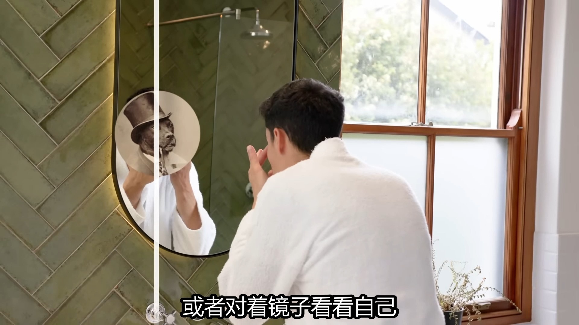 为何99%的动物具有对称性（以及1%动物为何不具备这一特征）_成片
