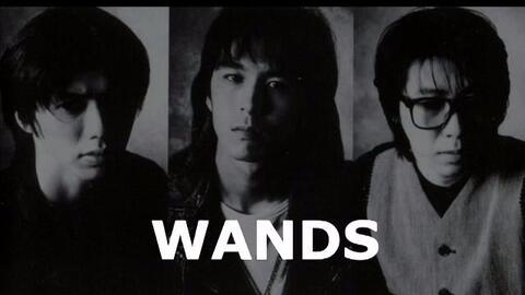 Wands Tv合集 哔哩哔哩