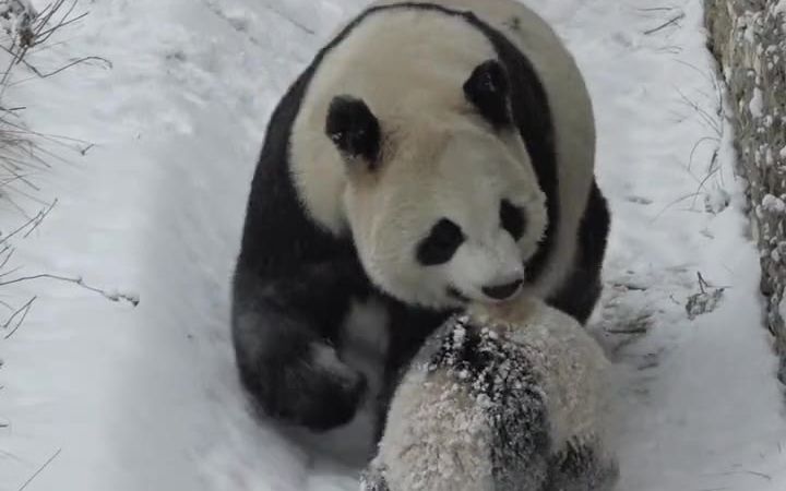 [图]摊上了这么个妈我有什么办法