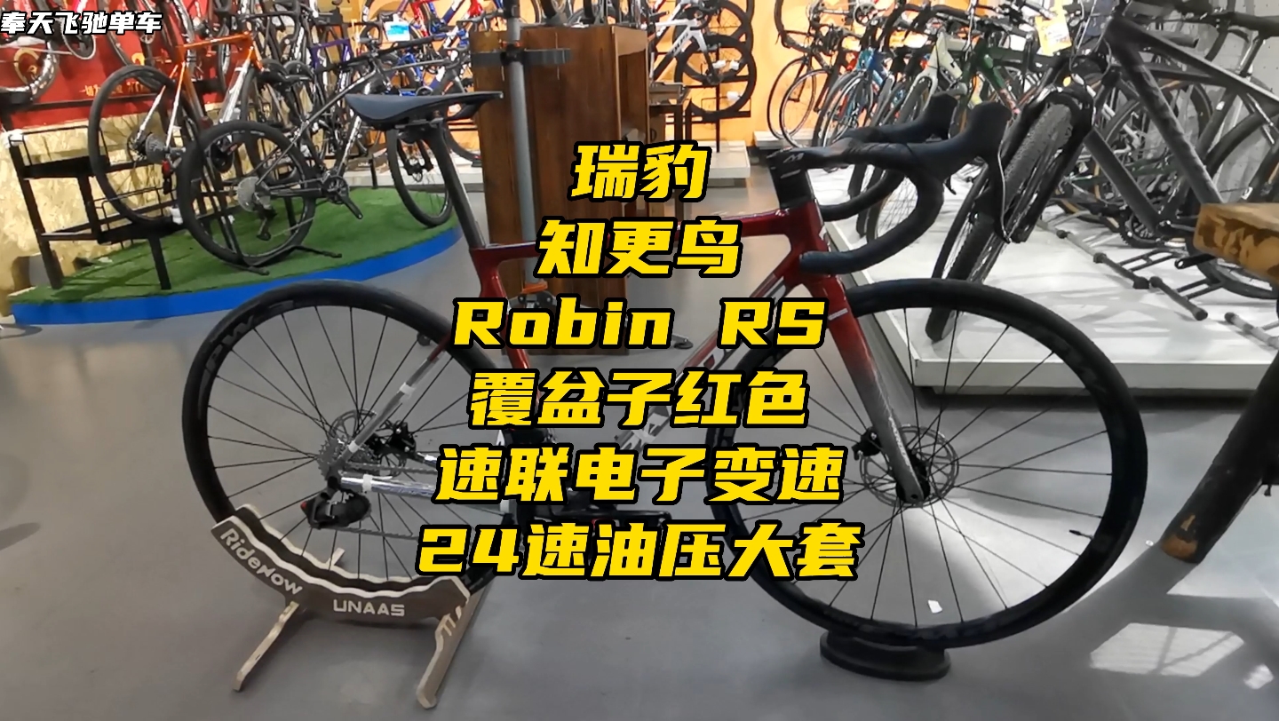 瑞豹知更鸟robin RS覆盆子红色公路车哔哩哔哩bilibili