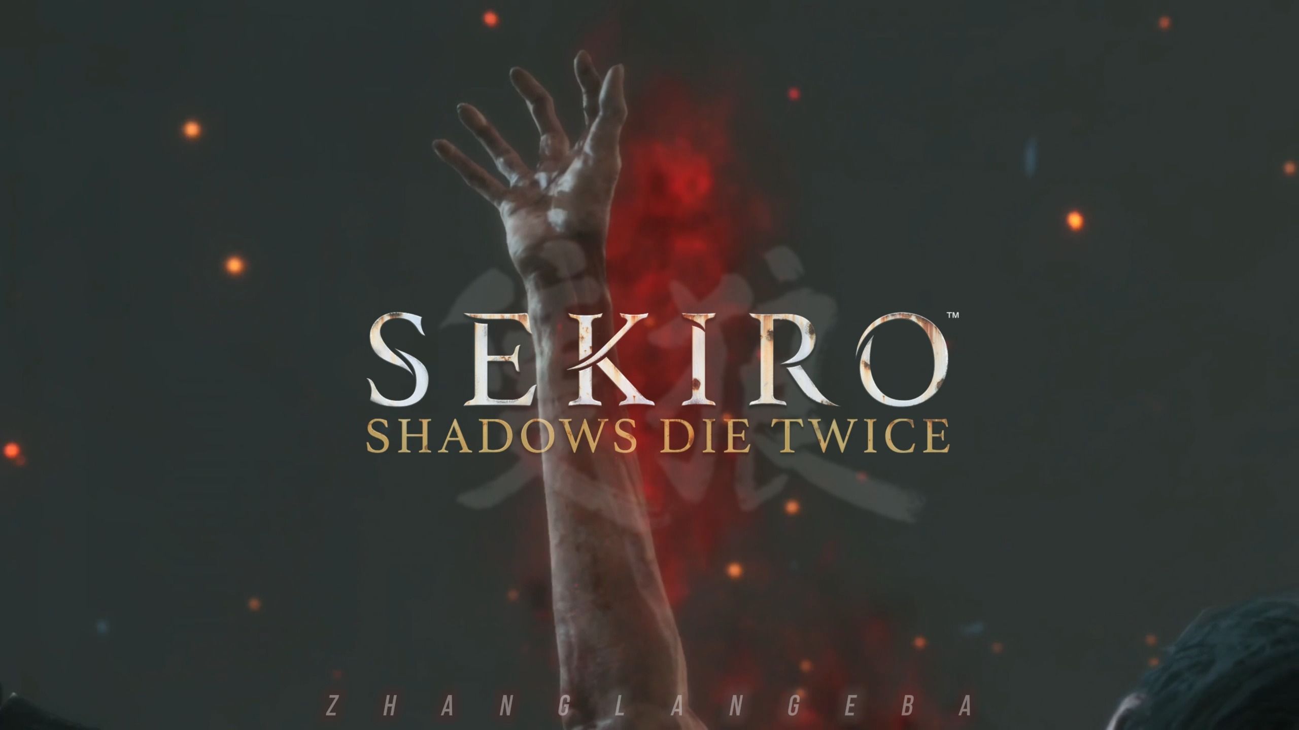 “一库搜!SEKIRO”!哔哩哔哩bilibili