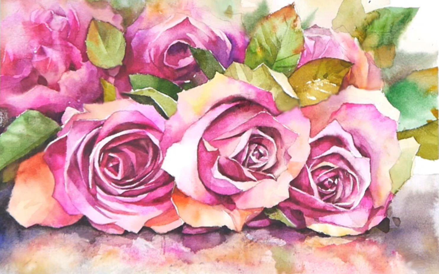 水彩入门风景教程搬运|月季花