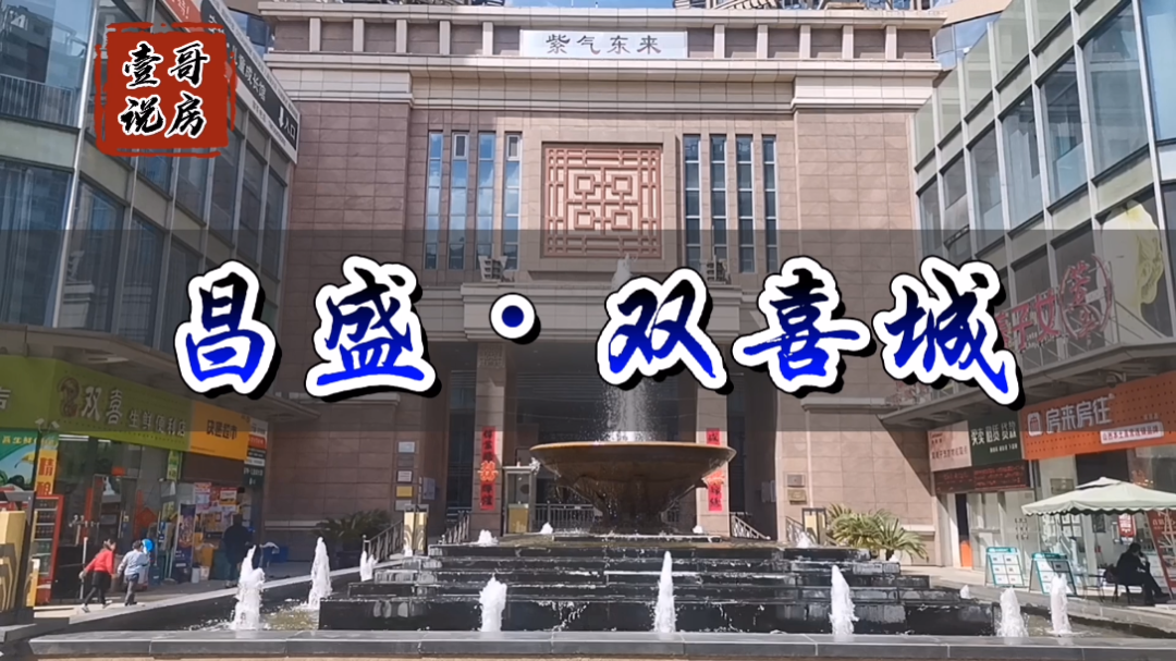 八一小学主要对口亲贤街双喜城湖景园林品质哔哩哔哩bilibili