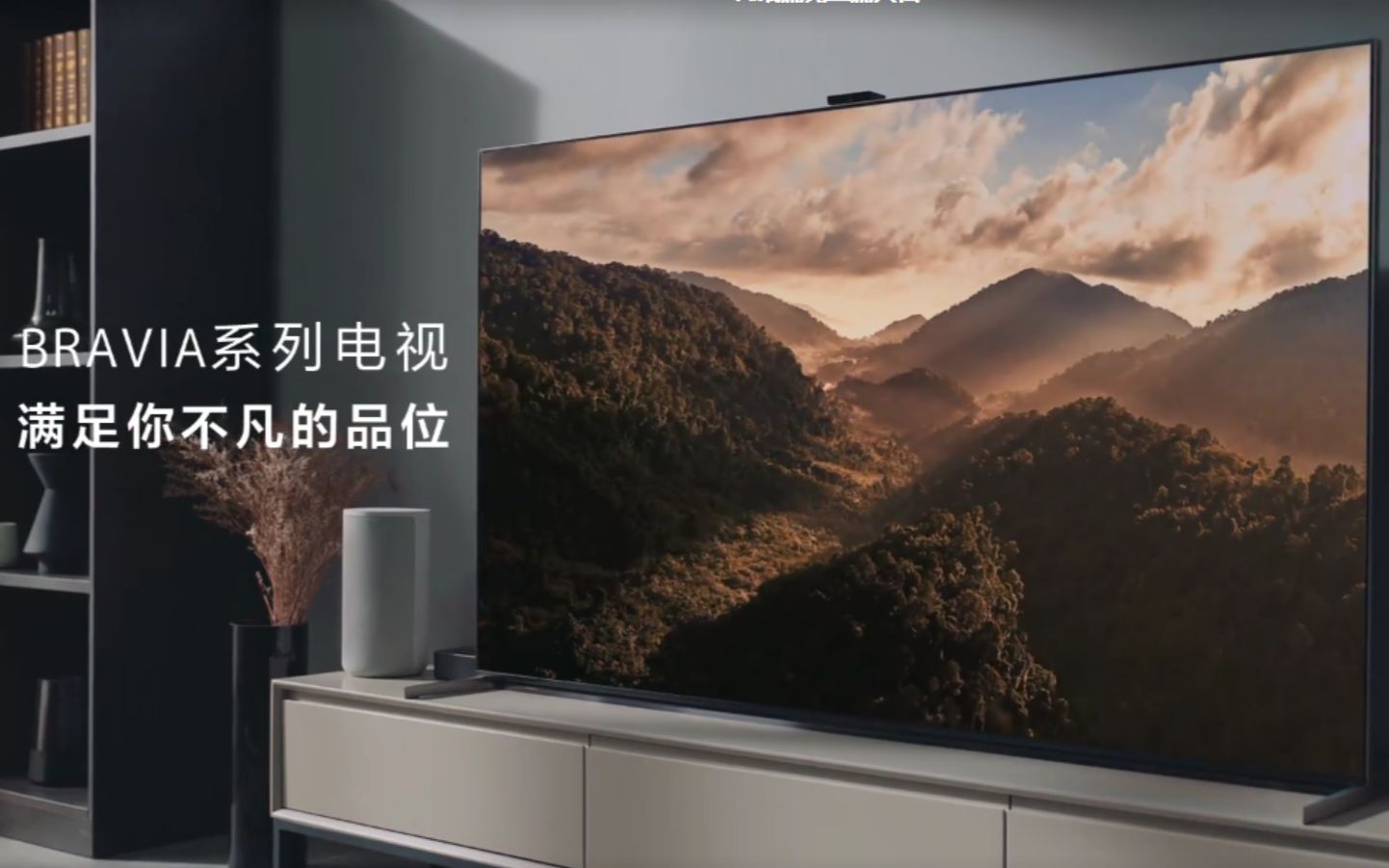 BRAVIA系列高端电视,满足你不凡的品味哔哩哔哩bilibili