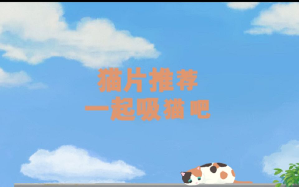 【萌宠文推荐】rua秃那些小猫咪哔哩哔哩bilibili