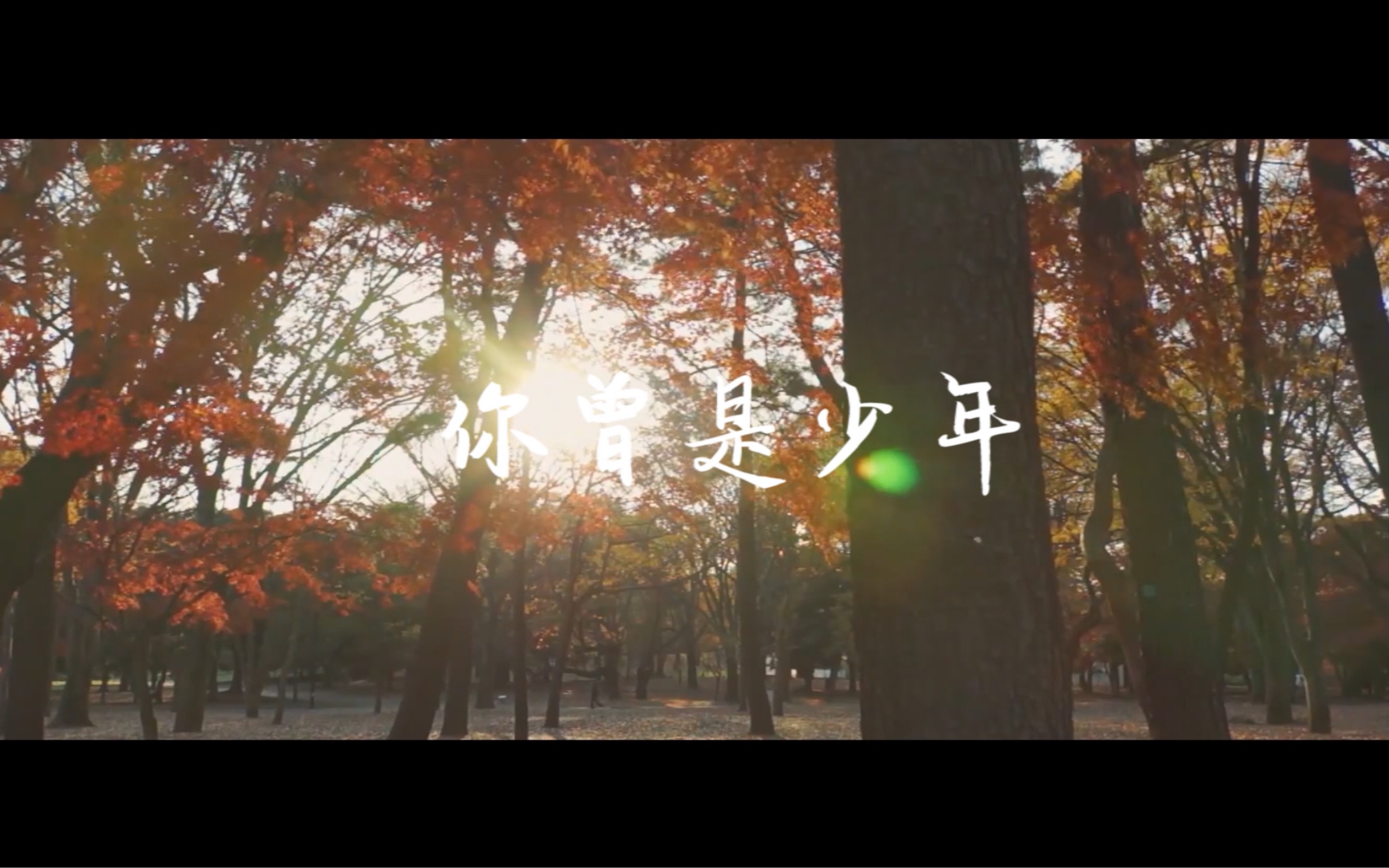 胡歌短今赵丽颖你曾是少年相信你会成为最想成为的人