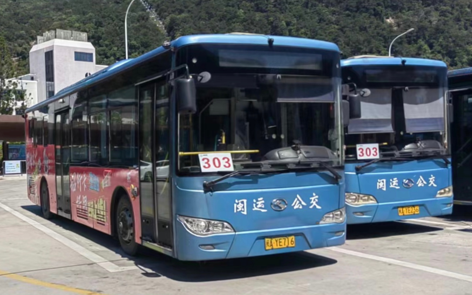 【婷婷公交迷】福州闽运公交303路公交车(鼓山公交总站-洪山桥小区)