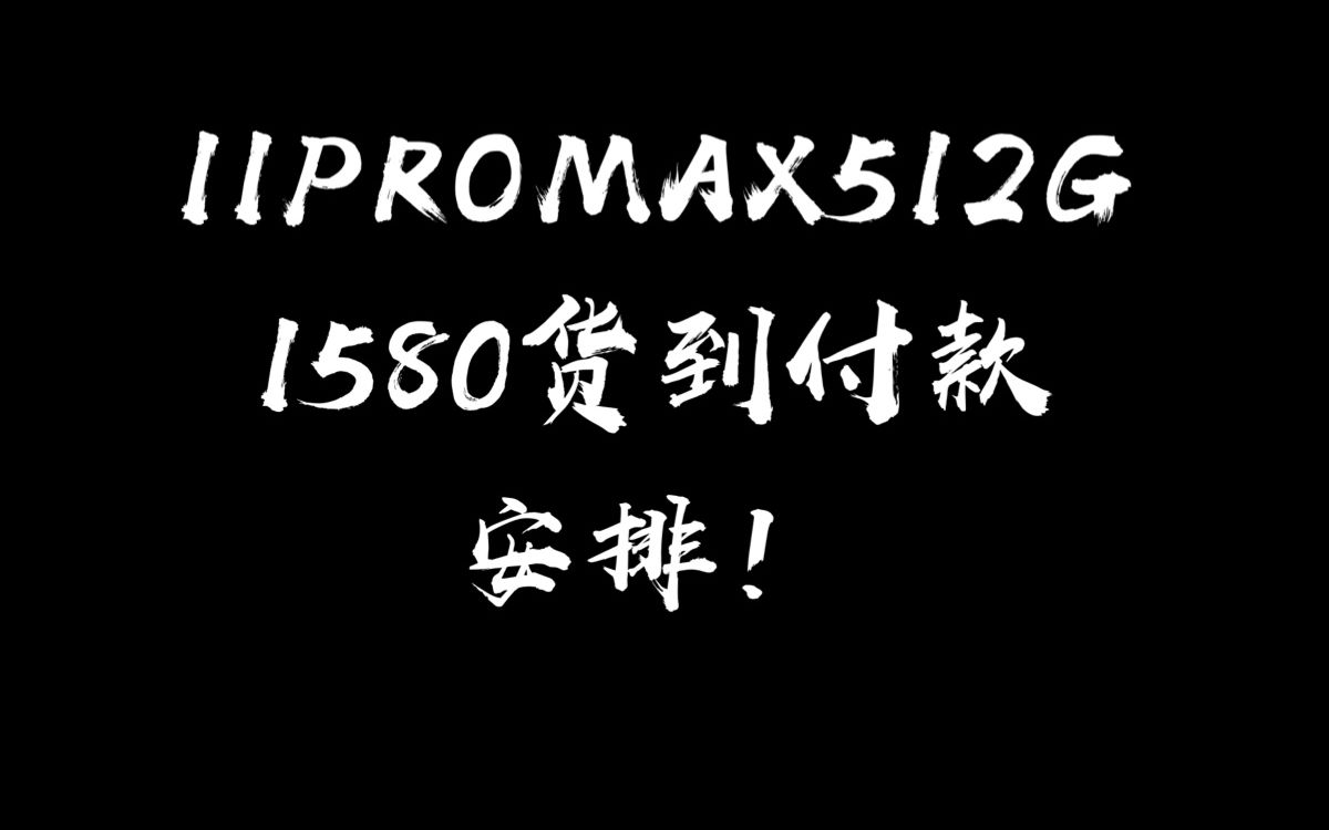 1580货到付款的苹果11Promax全方位评测哔哩哔哩bilibili