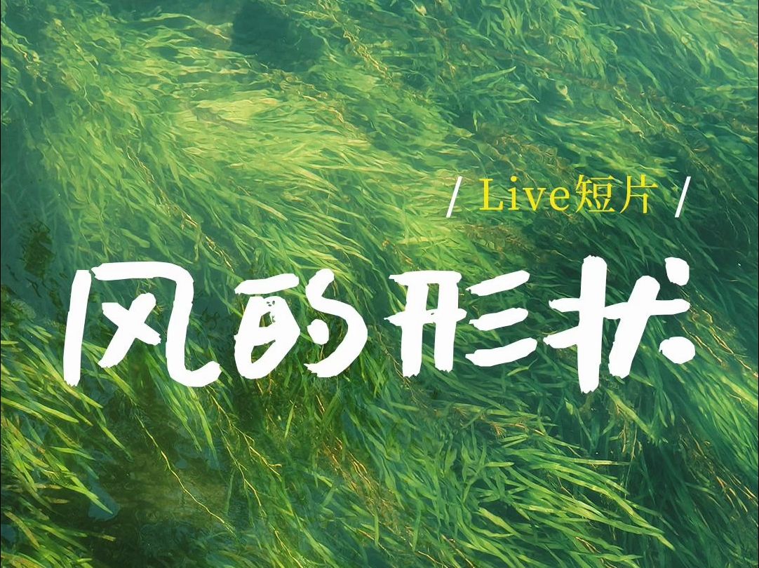 【手机摄影】Live合集 | 从第一秒开始,我悟到了Live图的意义哔哩哔哩bilibili