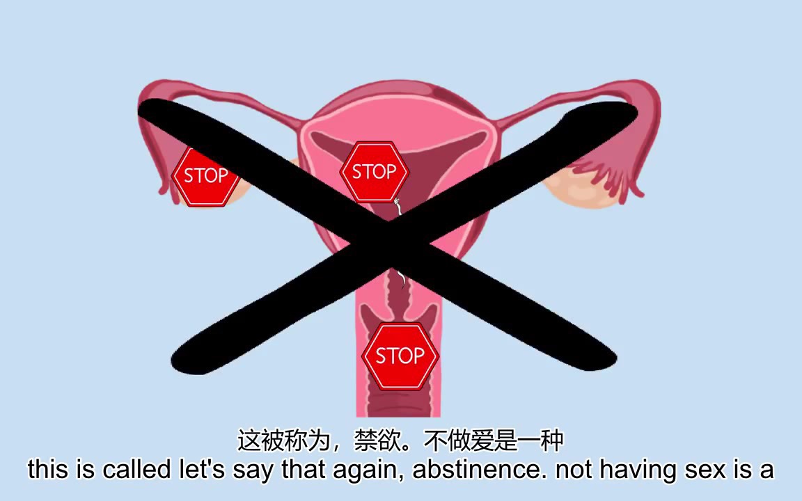 青春期你必须了解的性知识:如何避孕?没有任何避孕措施的情况下有多大几率怀孕?哪种避孕措施效果最佳?哔哩哔哩bilibili