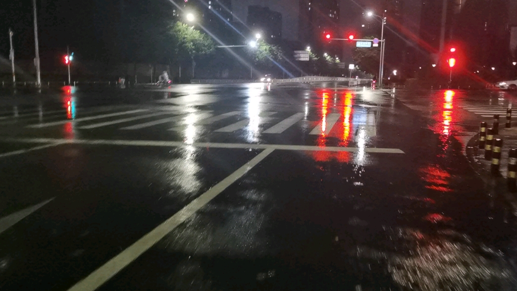 [图]昨夜的雨让我更加的忧伤