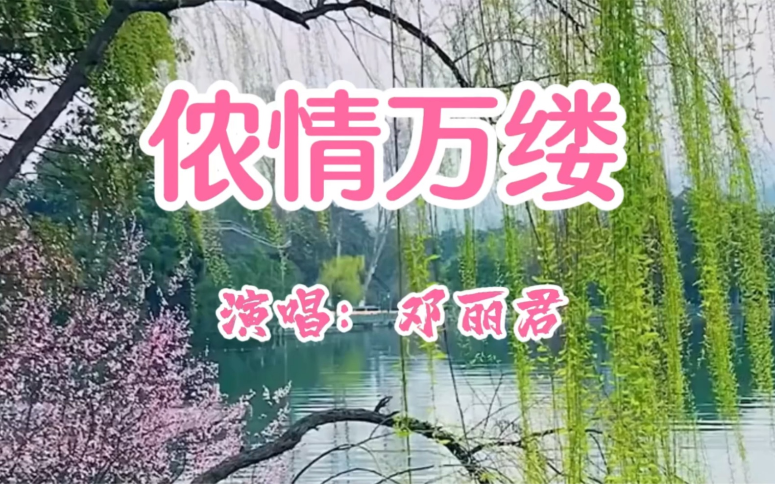 [图]欣赏邓丽君演唱歌曲《侬情万缕》